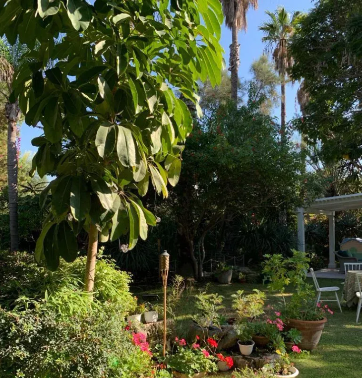 RealEstateIsrael