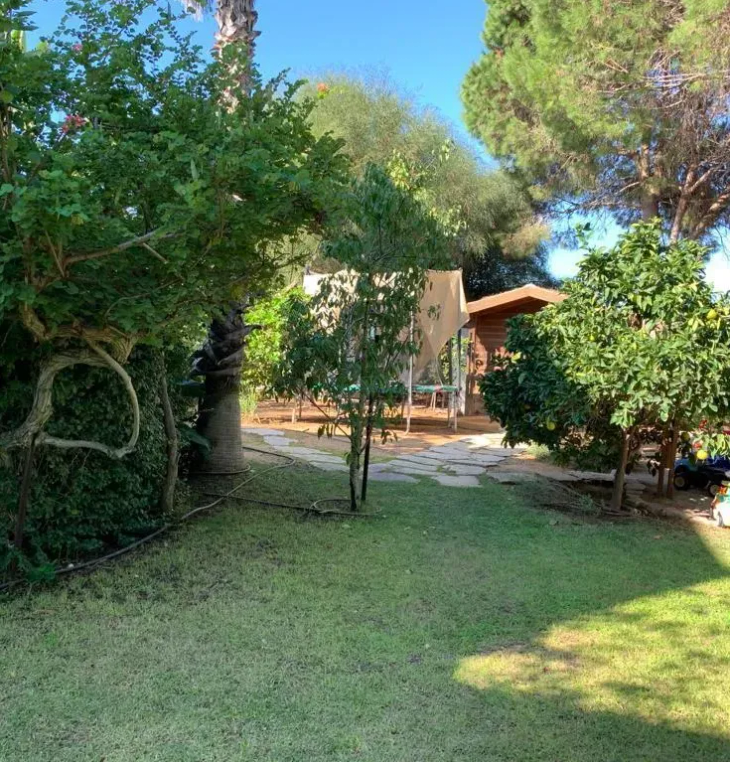 RealEstateIsrael
